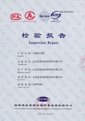 National Inspection Report